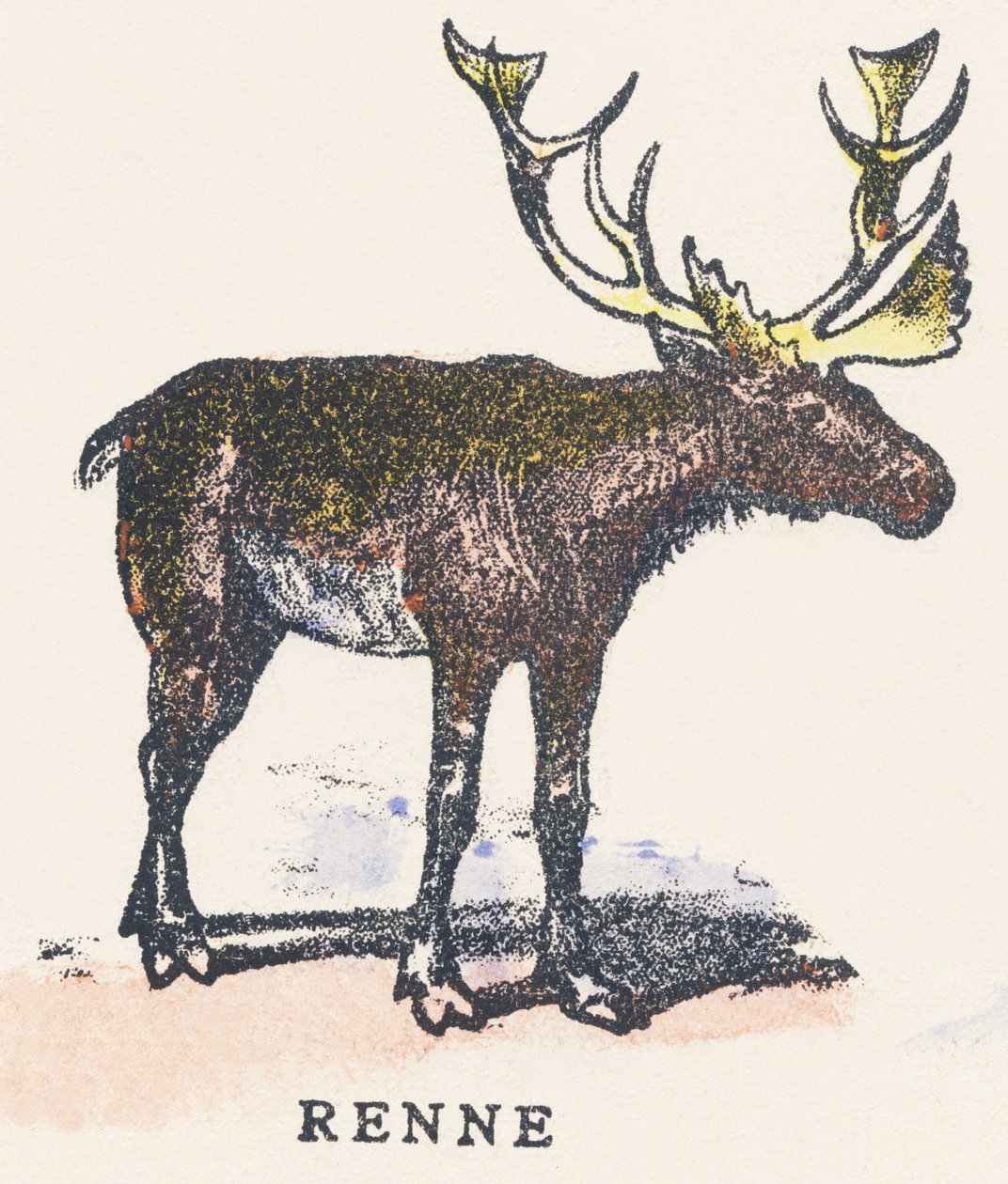 V: rénszarvas alkotó: Unknown artist