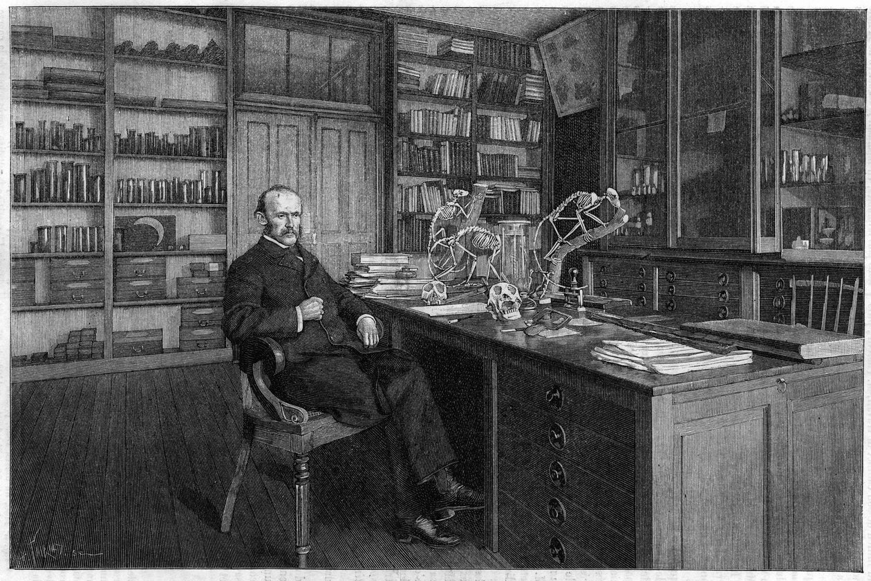 Alphonse Milne Edwards (Milne-Edwards alkotó: Unknown artist
