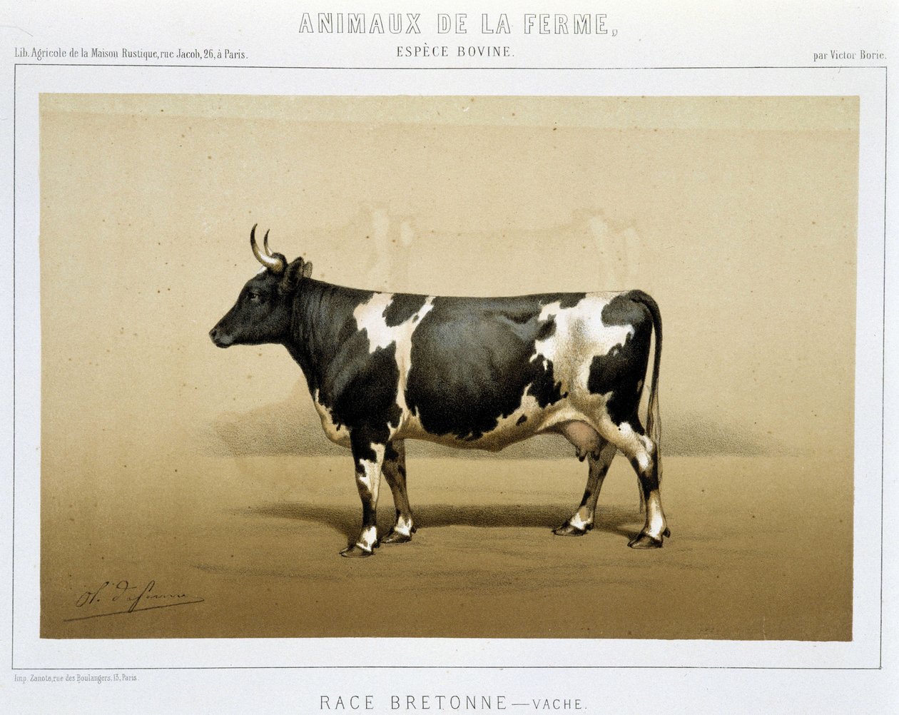 Breton tehén alkotó: Unknown artist