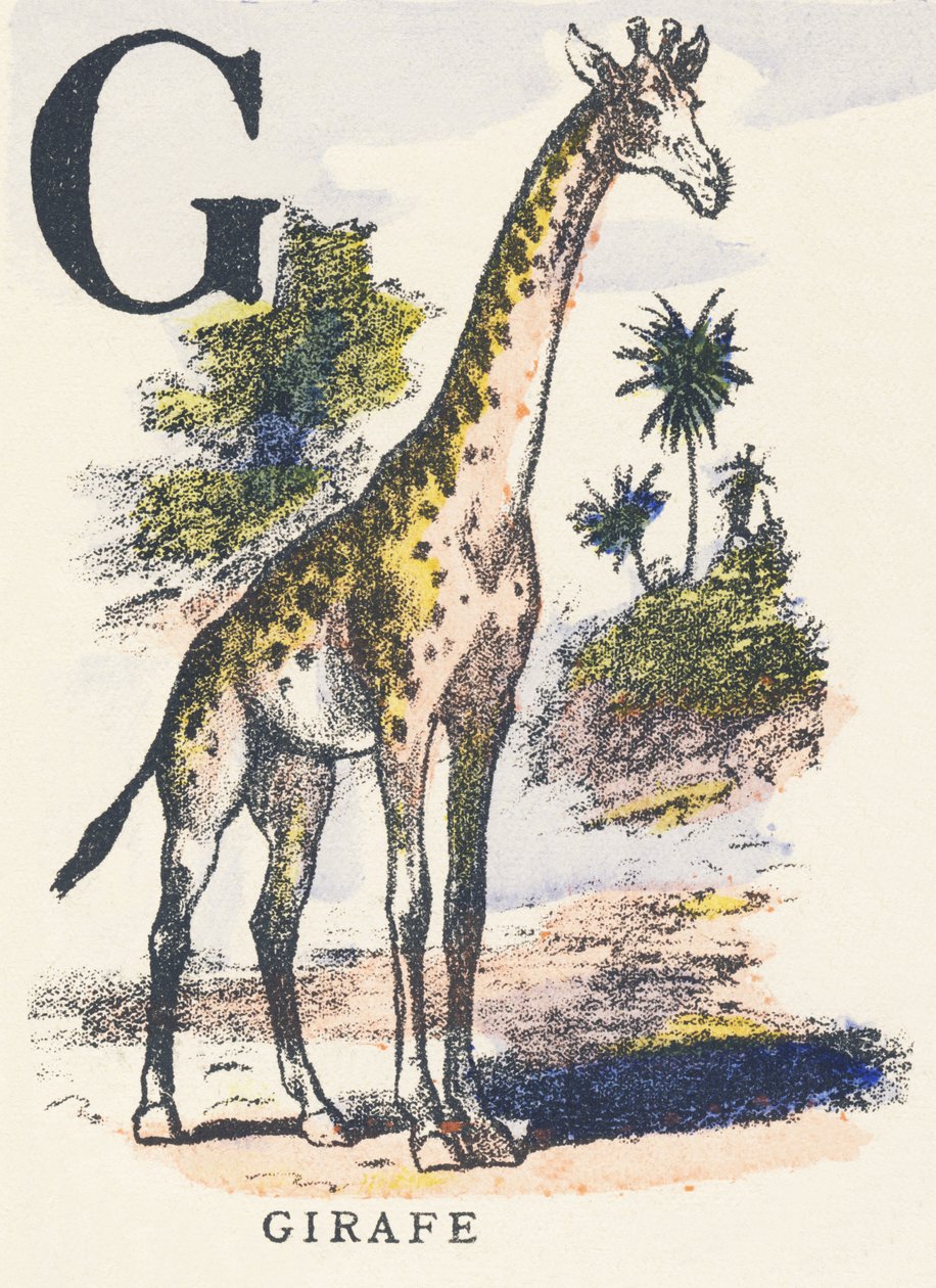 G: zsiráfok alkotó: Unknown artist