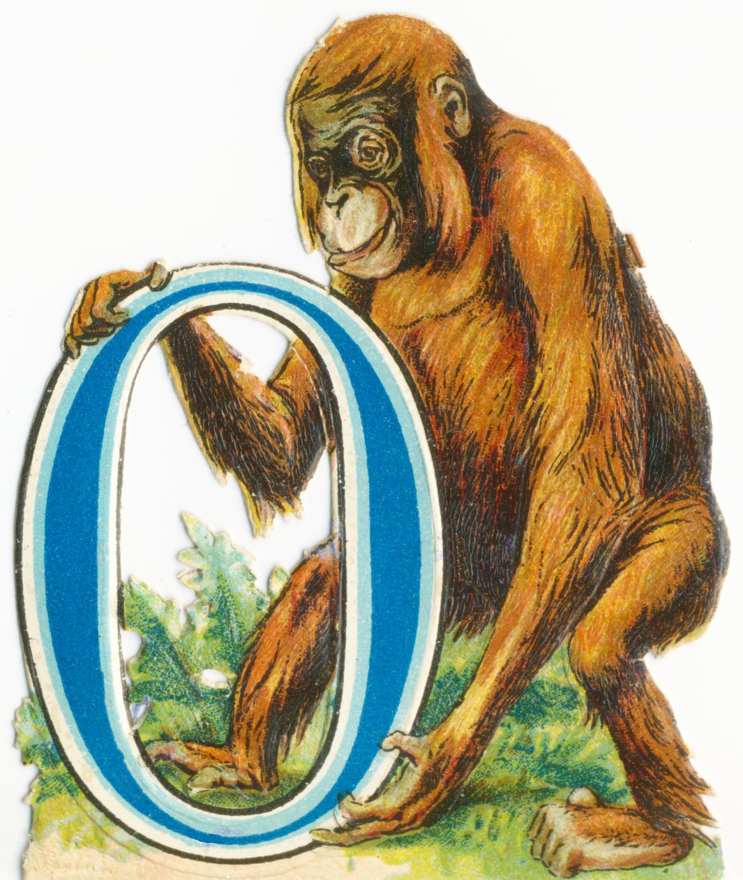 O: Orangután alkotó: Unknown artist