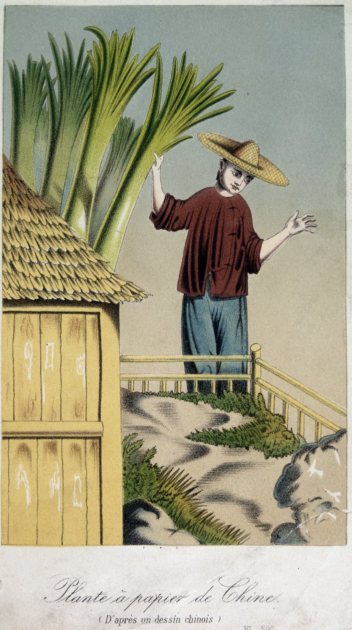 Papírgyár, Kína - gravírozás alkotó: Unknown artist