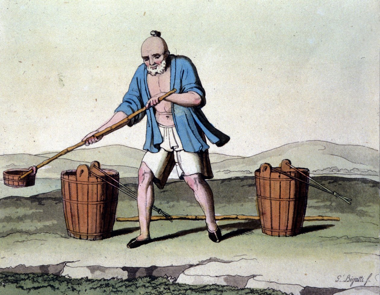 Rizstermesztés Kínában. 19. századi nyomtatvány. alkotó: Unknown artist