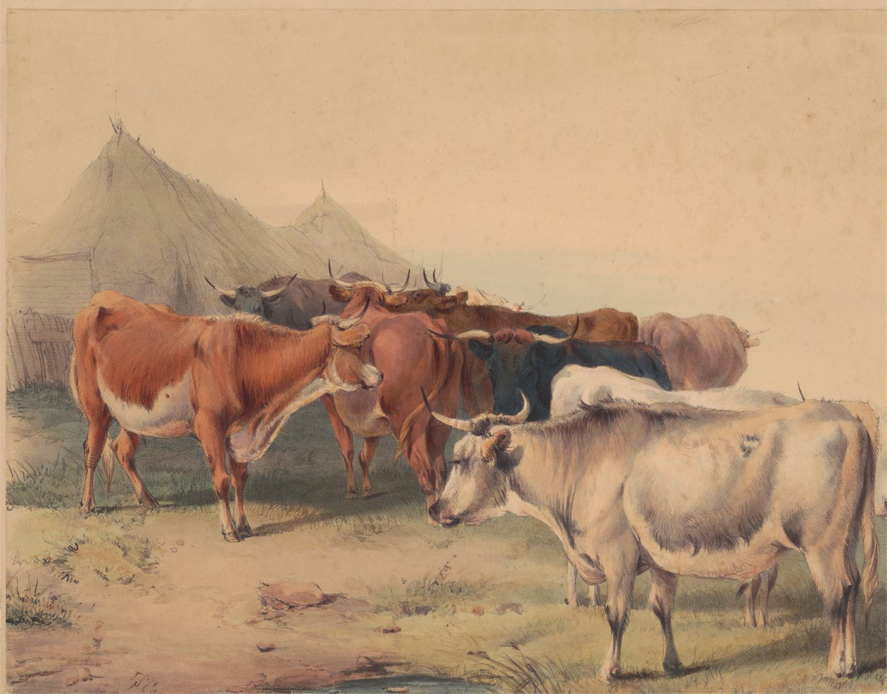 Egy marhacsorda alkotó: Unknown artist
