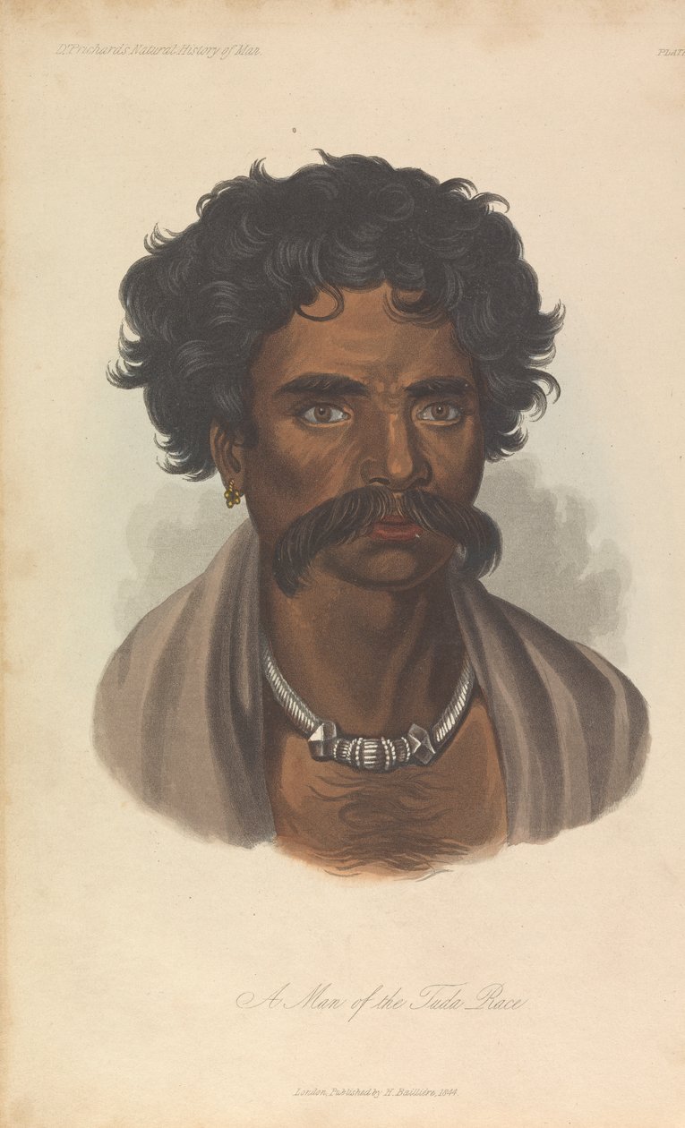 A Tuda faj embere alkotó: Unknown artist
