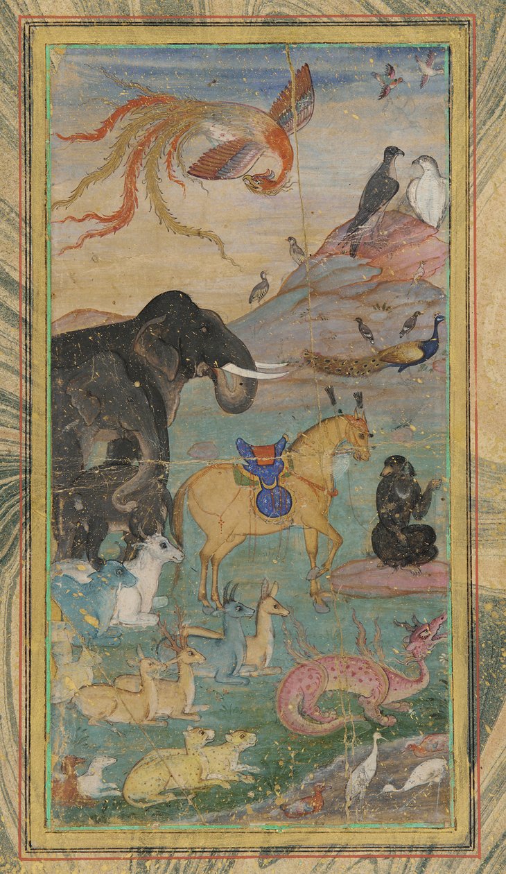 Állatok és madarak alkotó: Unknown artist