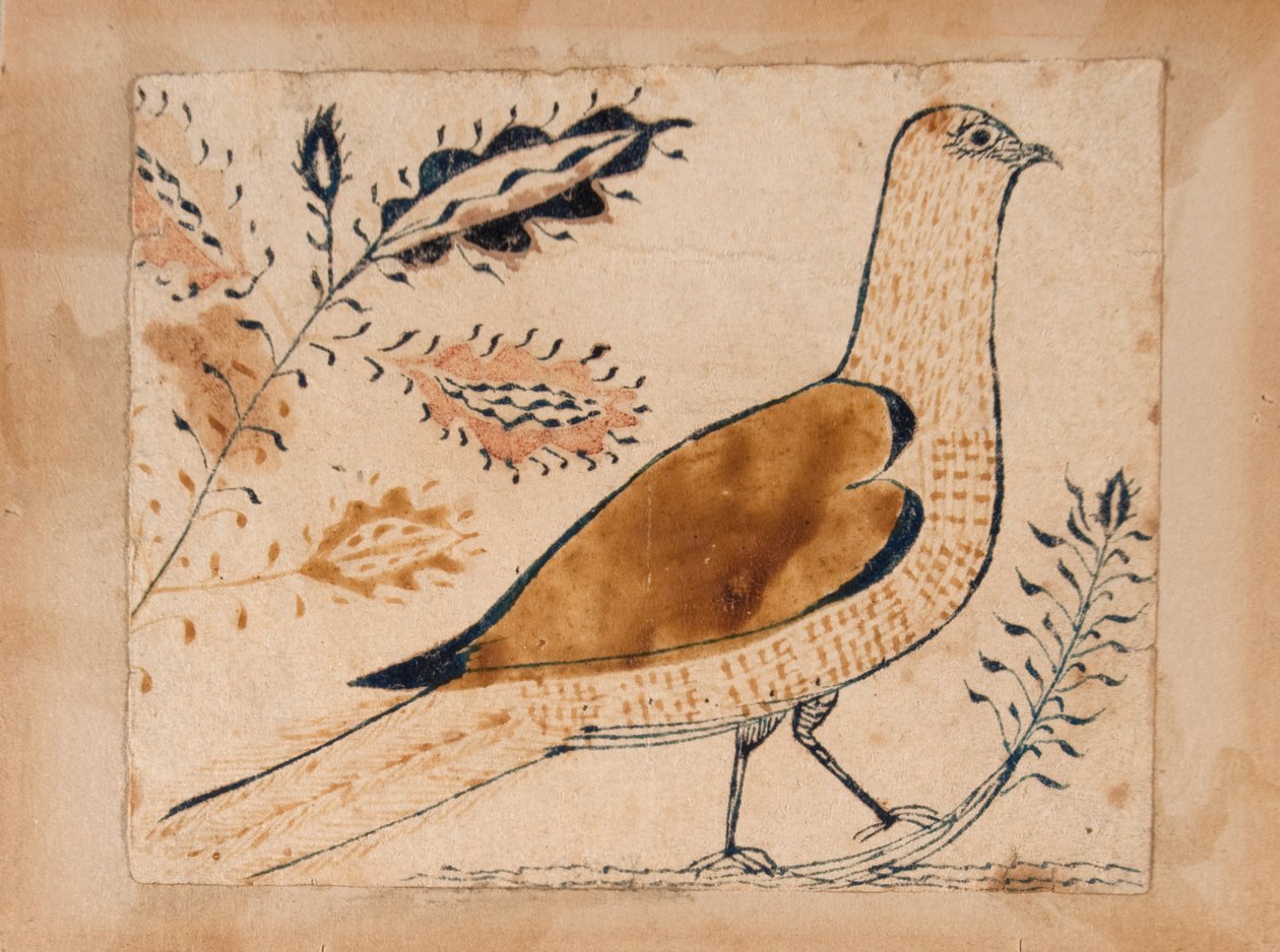 Madár alkotó: Unknown artist