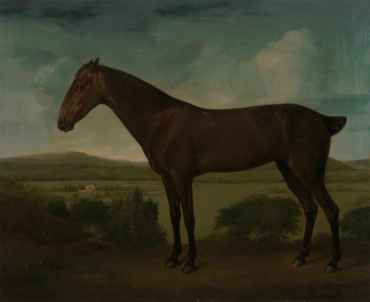 Barna ló dombos tájon alkotó: Unknown artist
