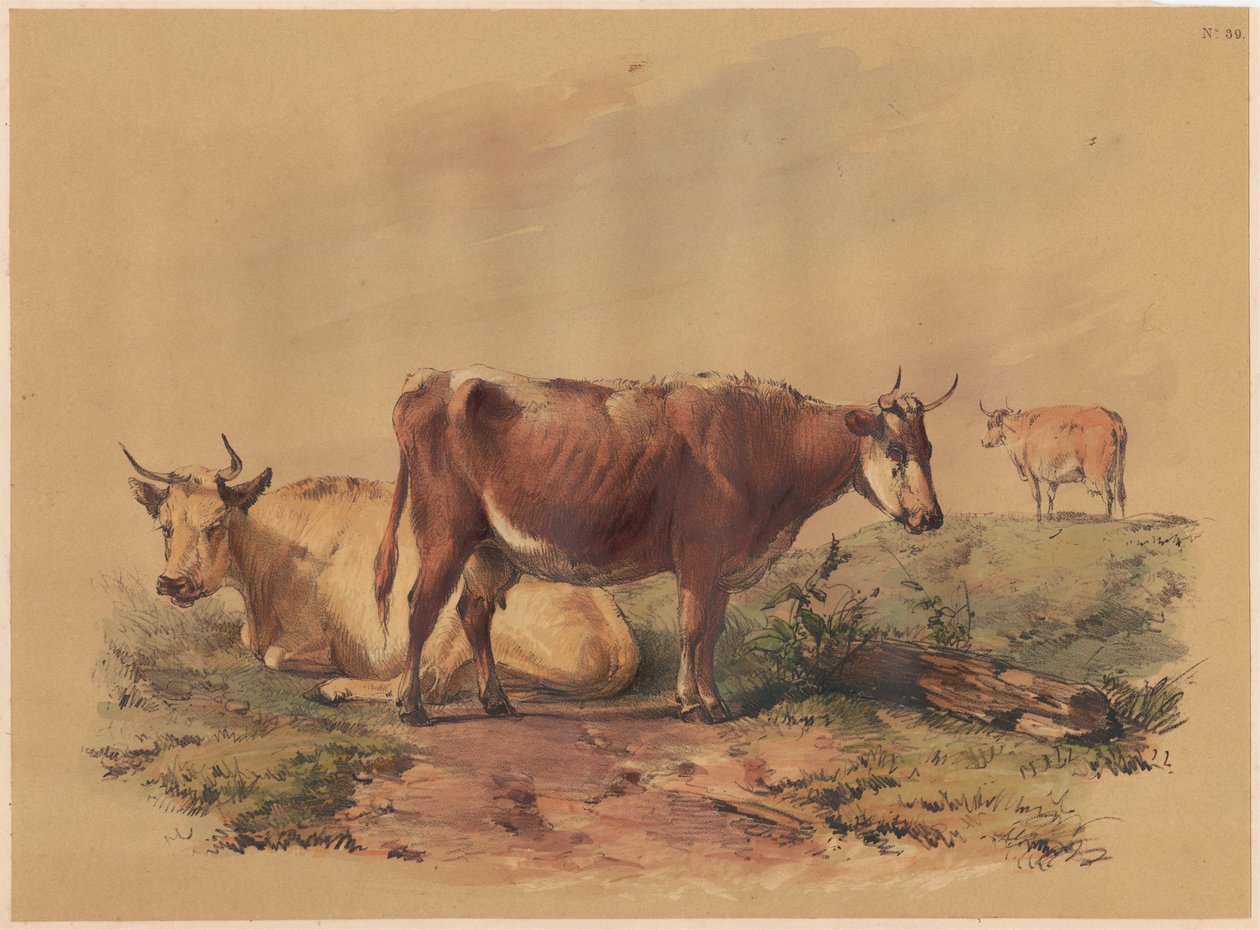 Marha alkotó: Unknown artist