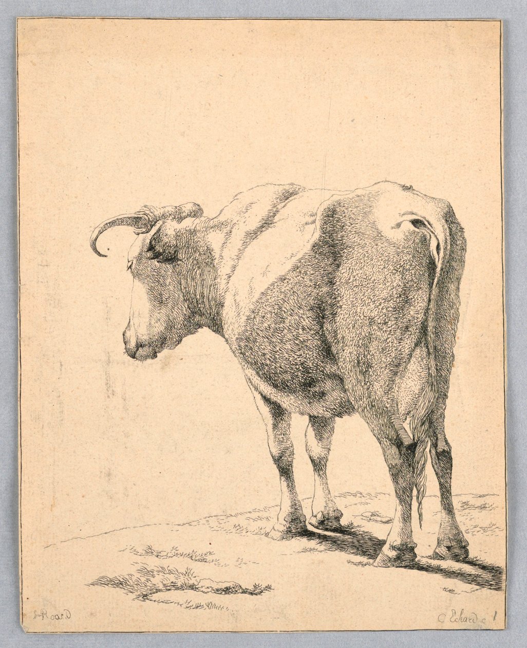 Tehén alkotó: Unknown artist