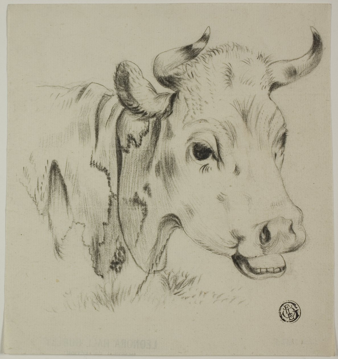 Tehénfej alkotó: Unknown artist