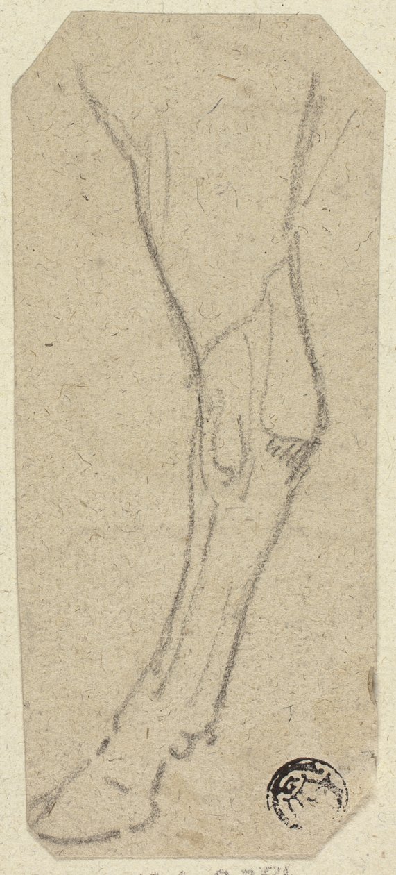Tehénláb alkotó: Unknown artist