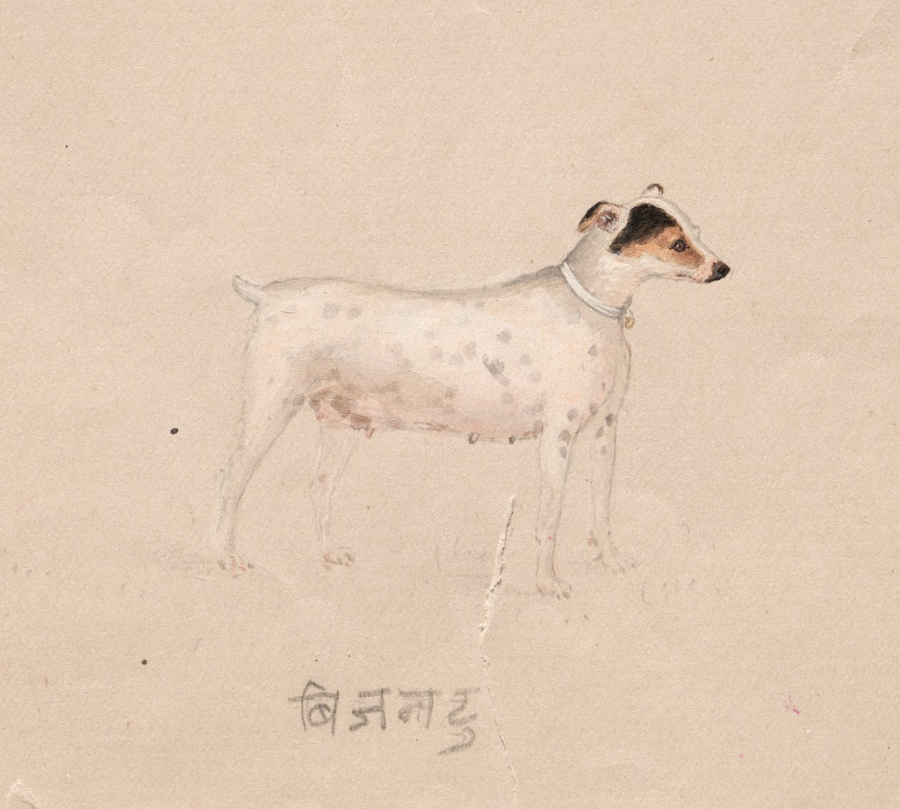Kutya alkotó: Unknown artist