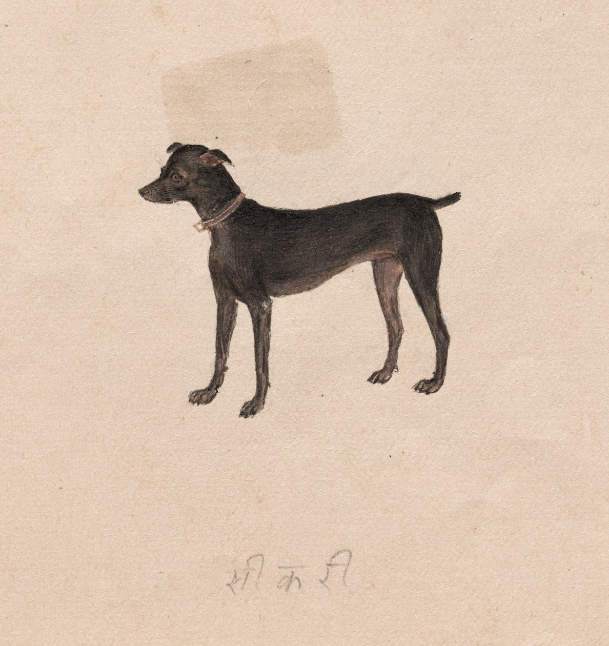 Kutya alkotó: Unknown artist