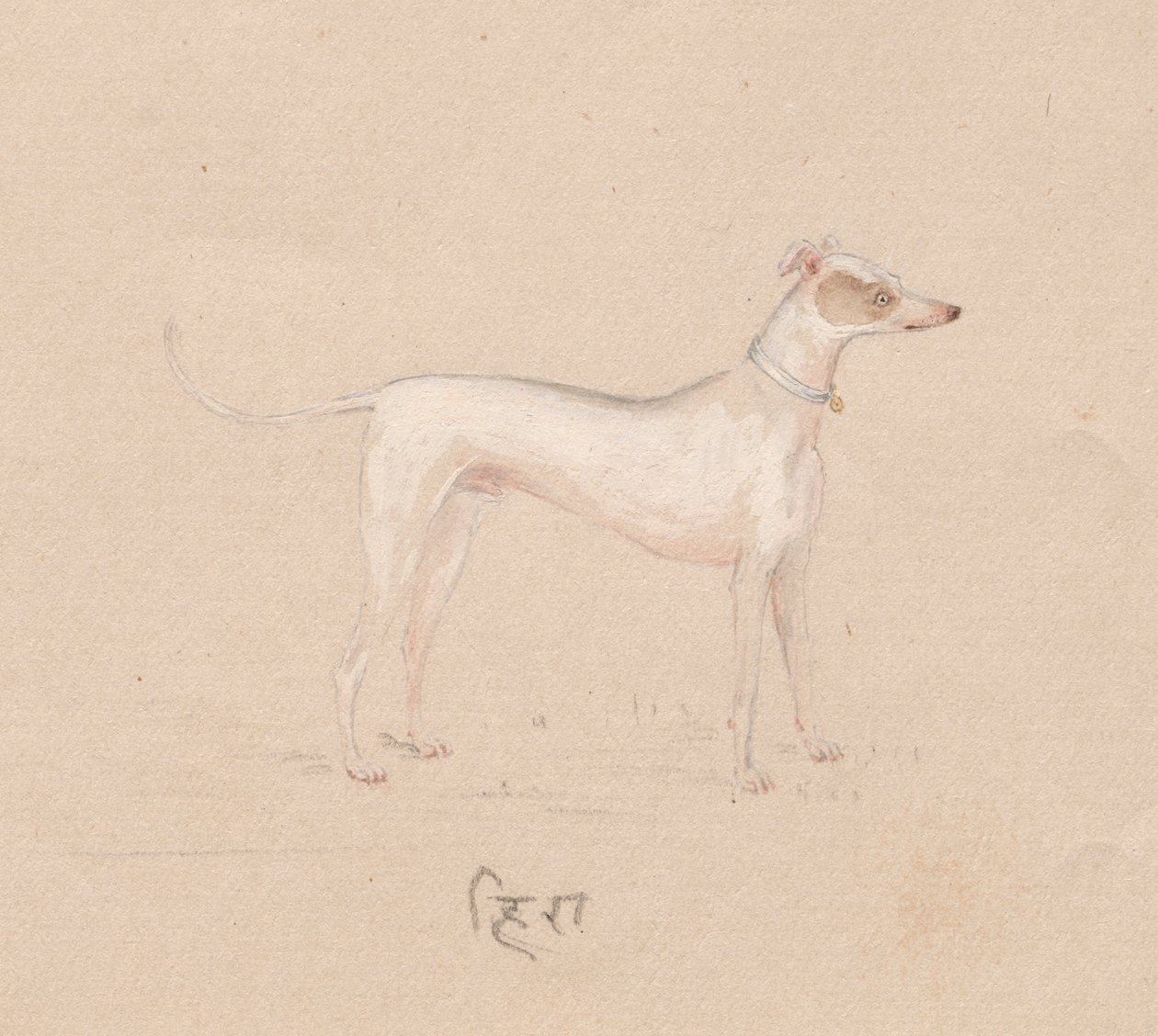 Kutya alkotó: Unknown artist