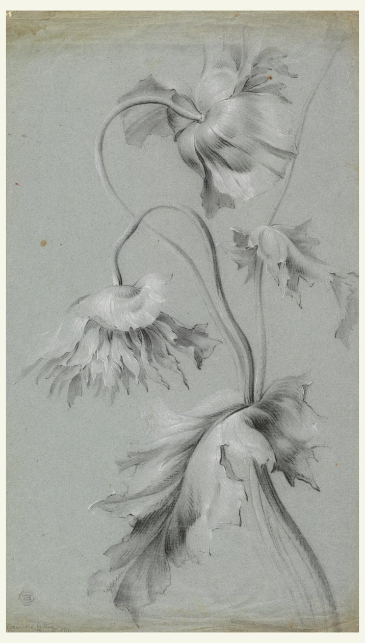 Virágos Design alkotó: Unknown artist