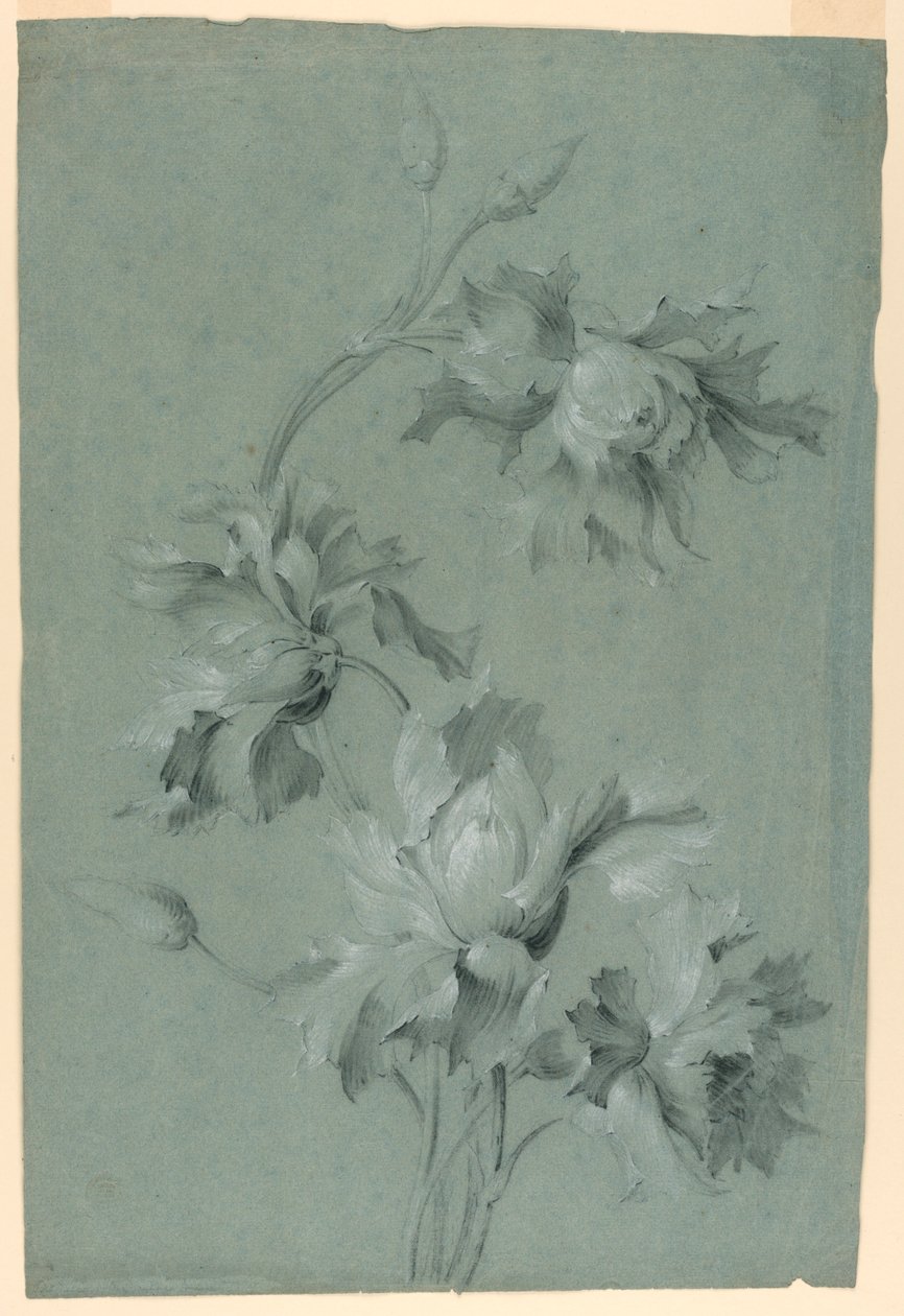 Virágos Design alkotó: Unknown artist
