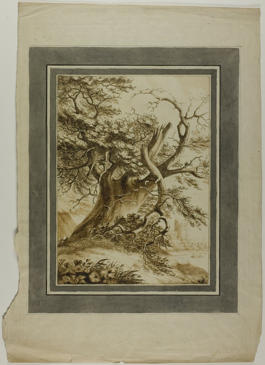 Óriás tölgy alkotó: Unknown artist