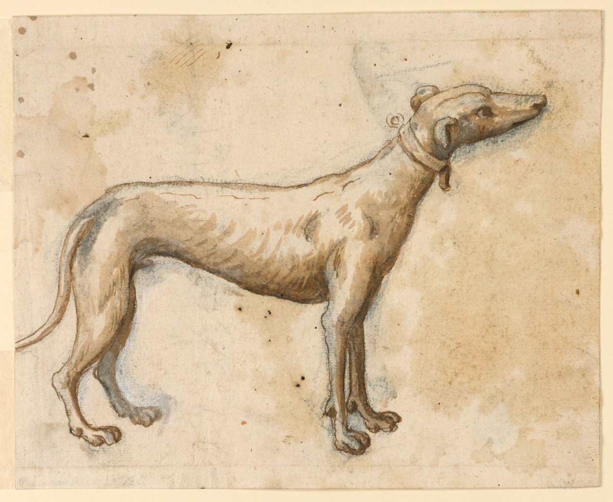 Agár alkotó: Unknown artist