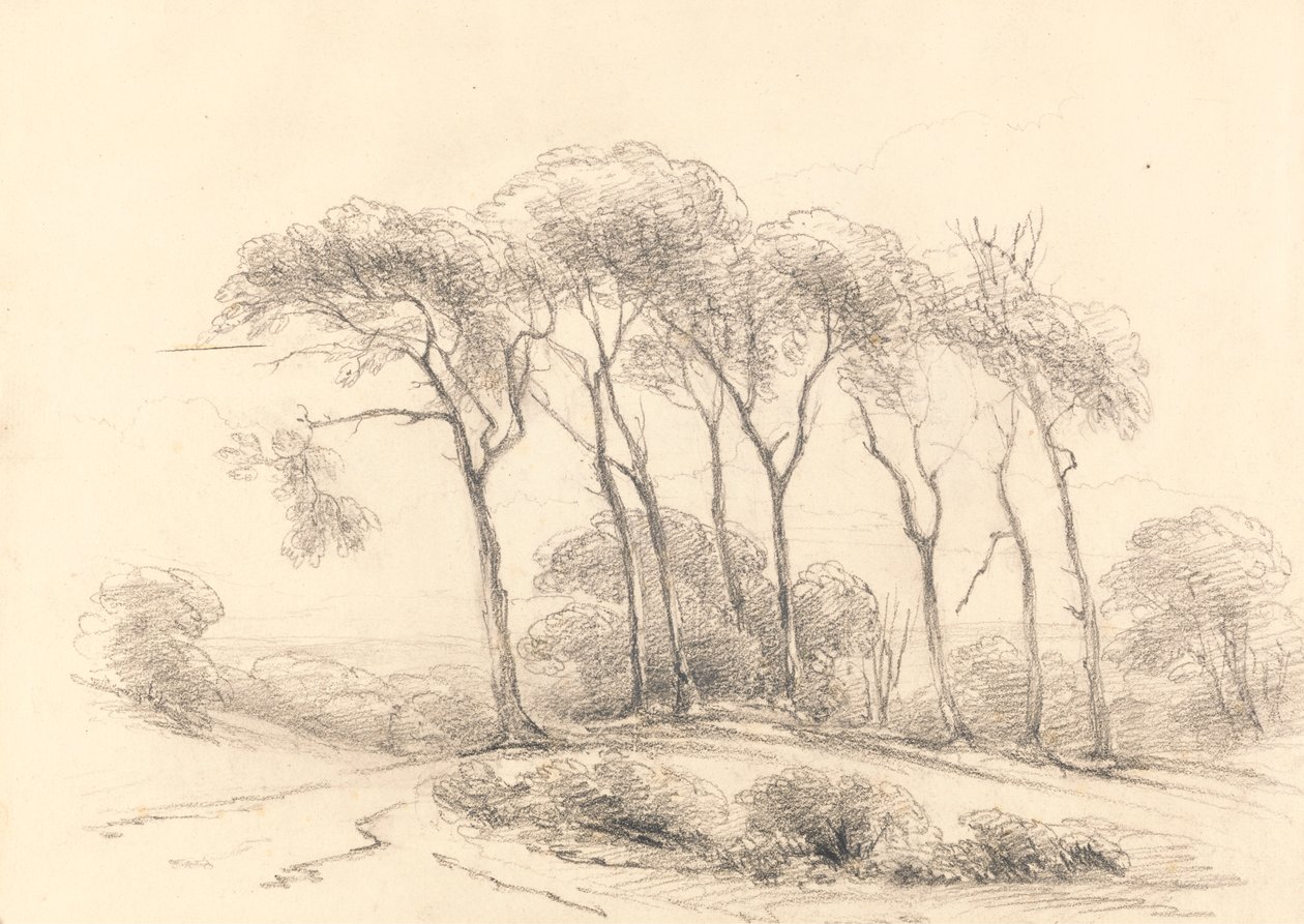 Magas fák alkotó: Unknown artist