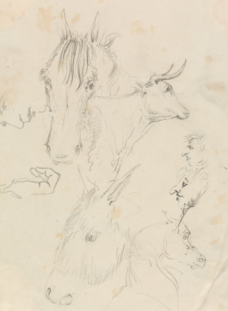 Lovak, tehén és férfiak alkotó: Unknown artist
