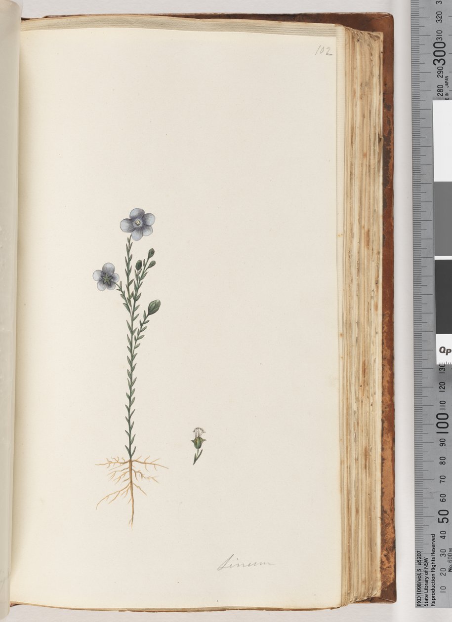 102. oldal Linum alkotó: Unknown artist