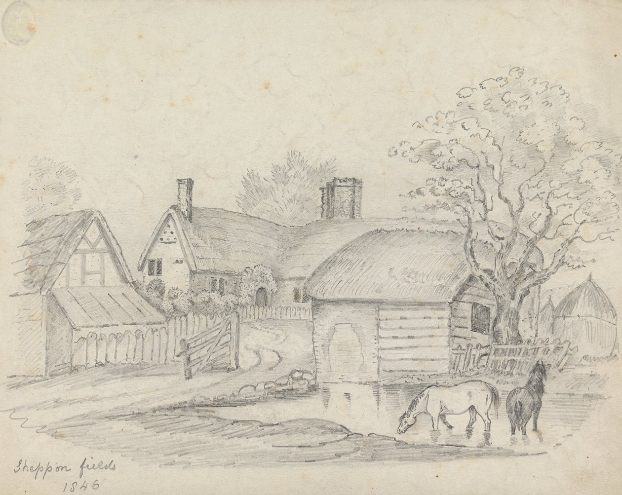 "Sheppon Fields" alkotó: Unknown artist
