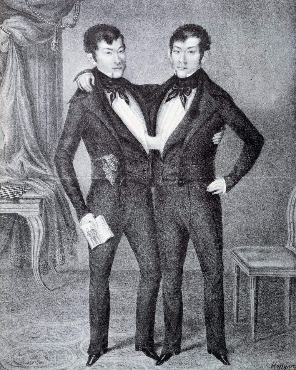 sziámi alkotó: Unknown artist
