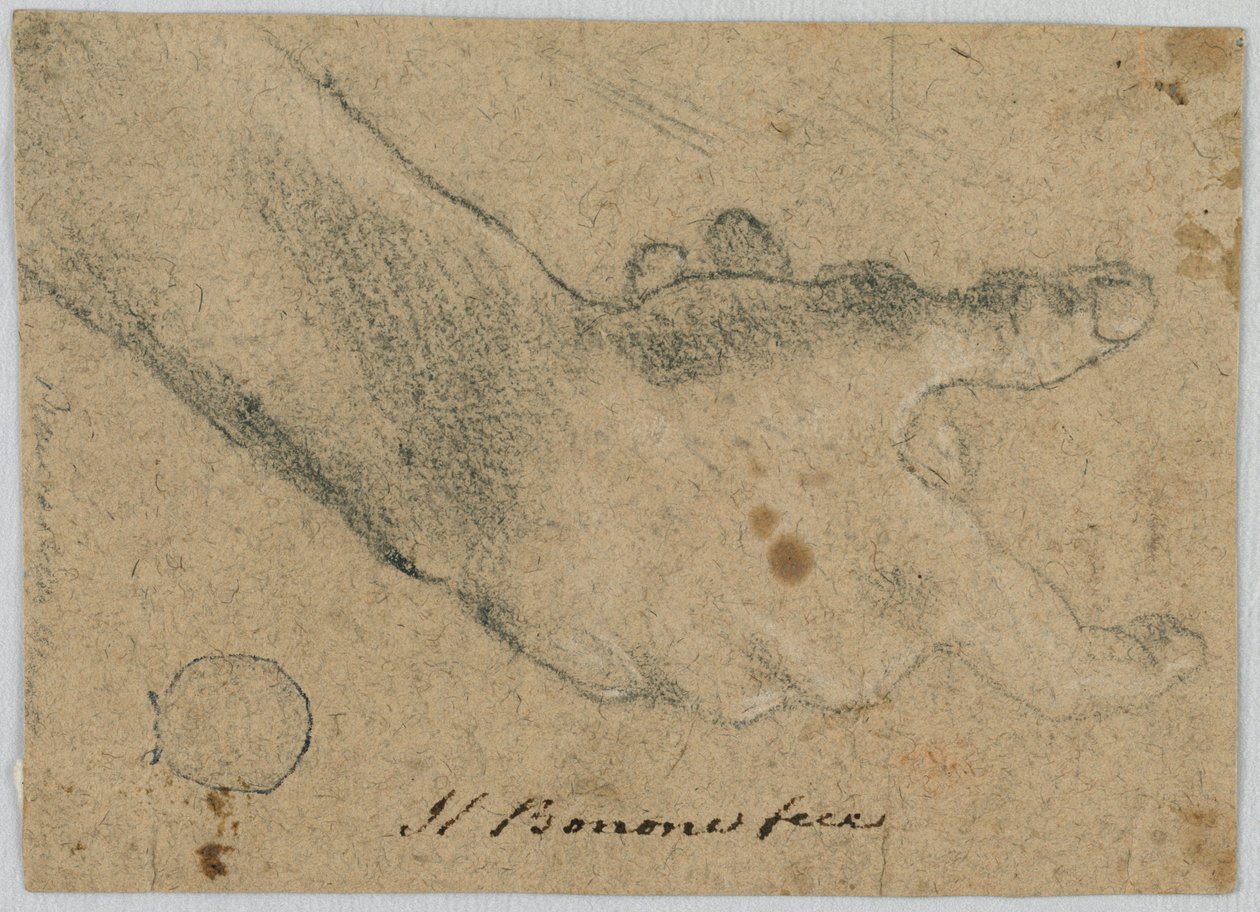 Tanulmány: jobb kéz alkotó: Unknown artist