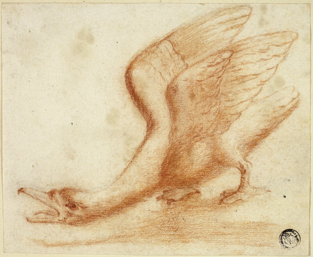 Hattyú alkotó: Unknown artist