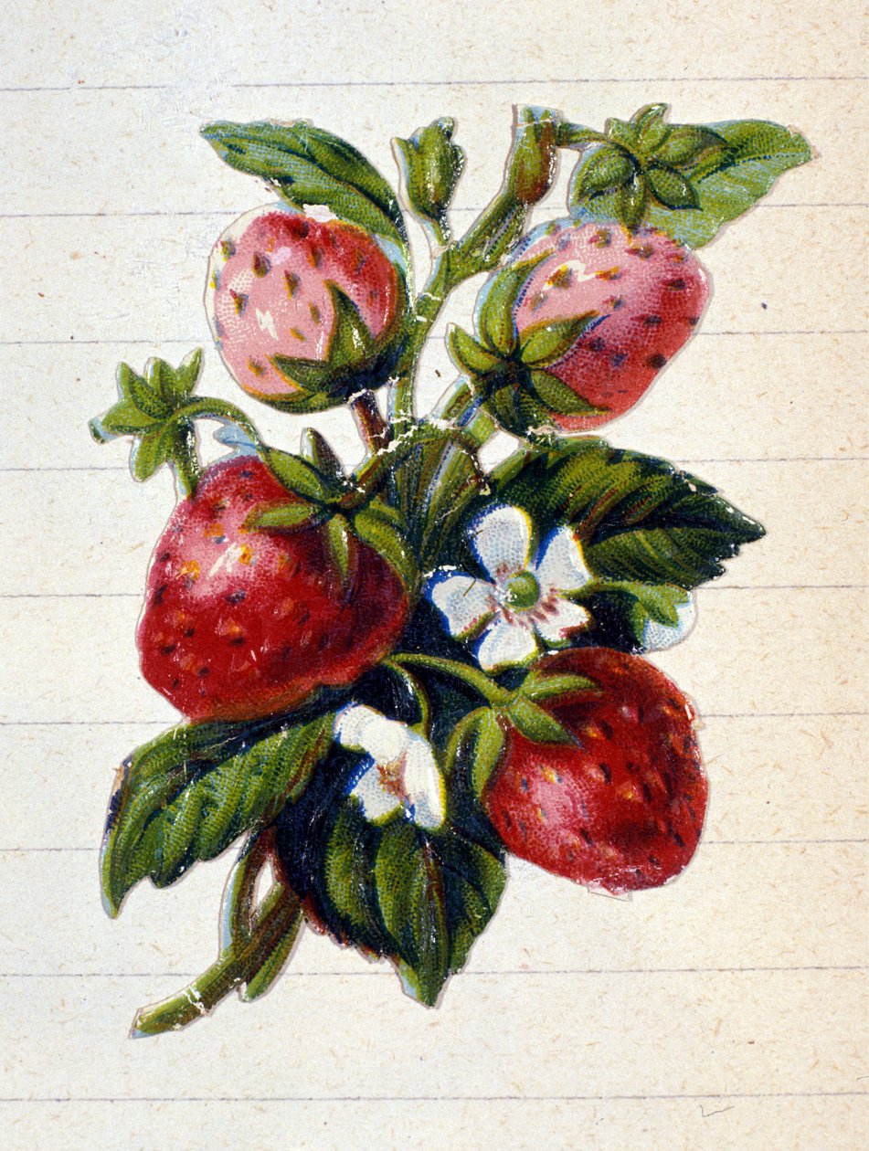 Ismeretlen kép alkotó: Unknown artist