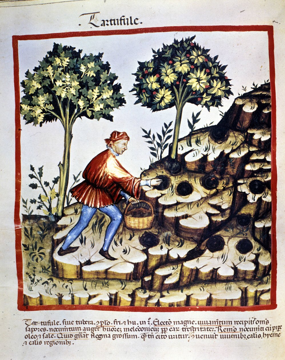 Ismeretlen kép alkotó: Unknown artist