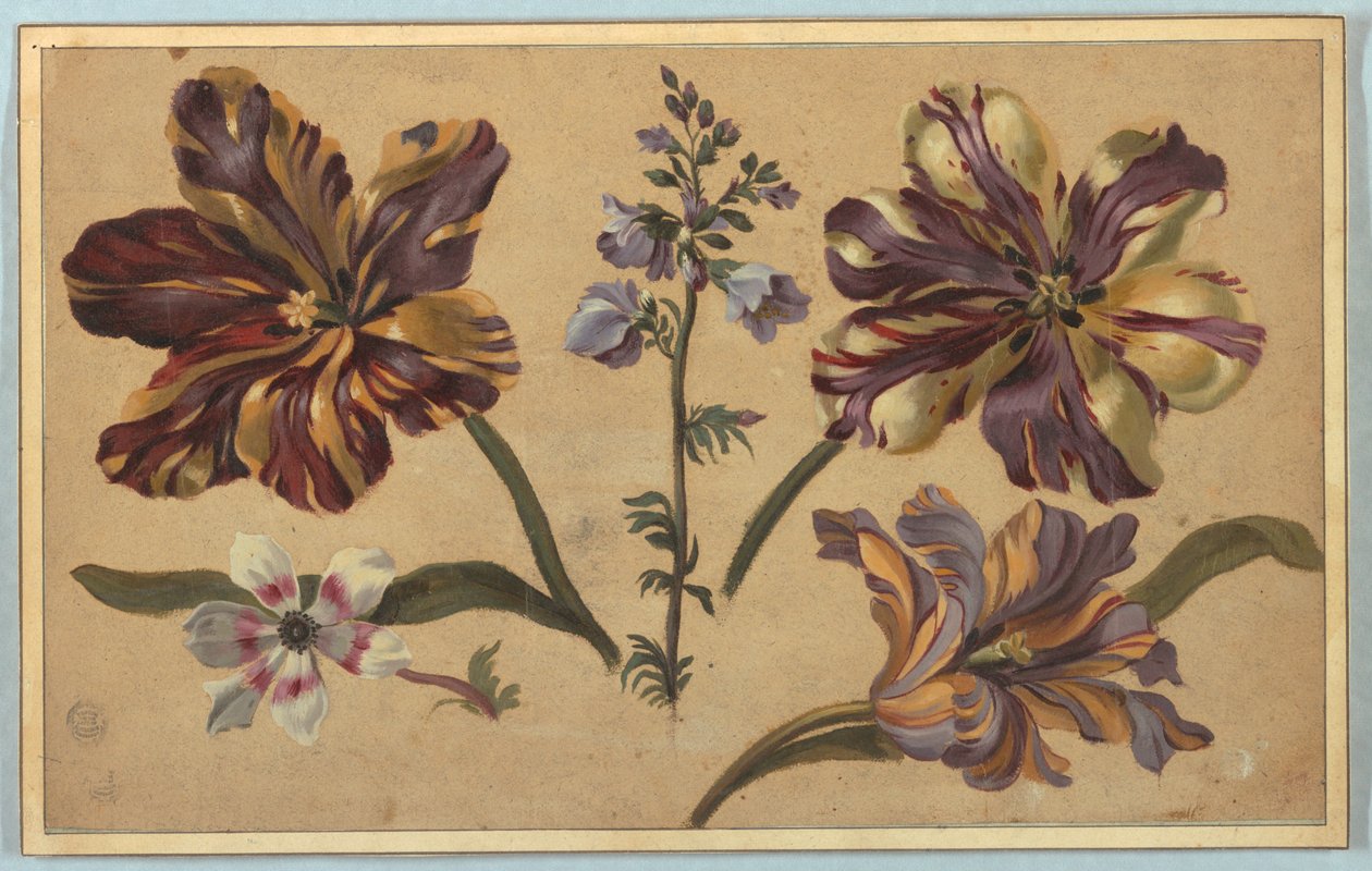 Különféle virágok alkotó: Unknown artist