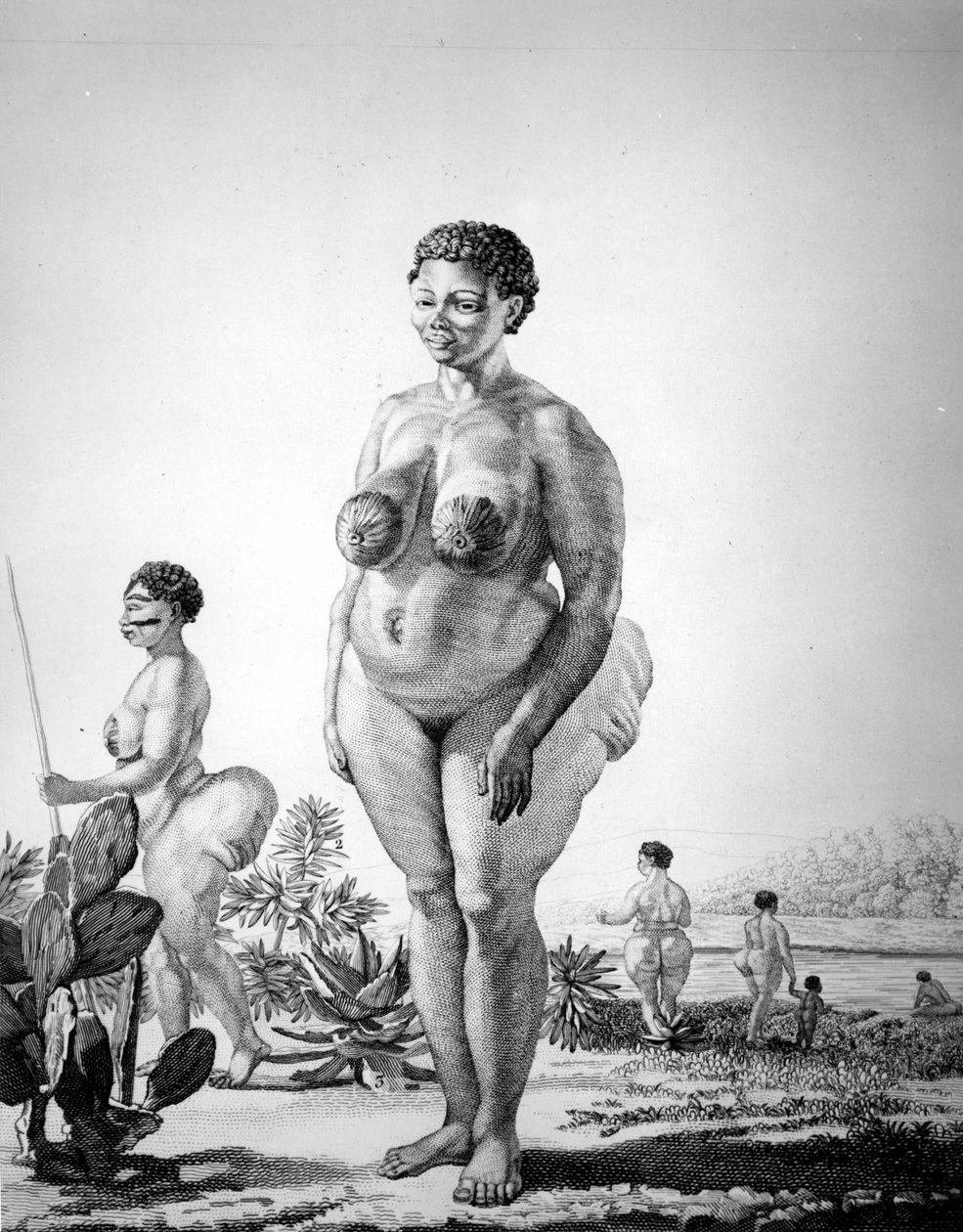 Dél-afrikai Vénusz hottentota alkotó: Unknown artist