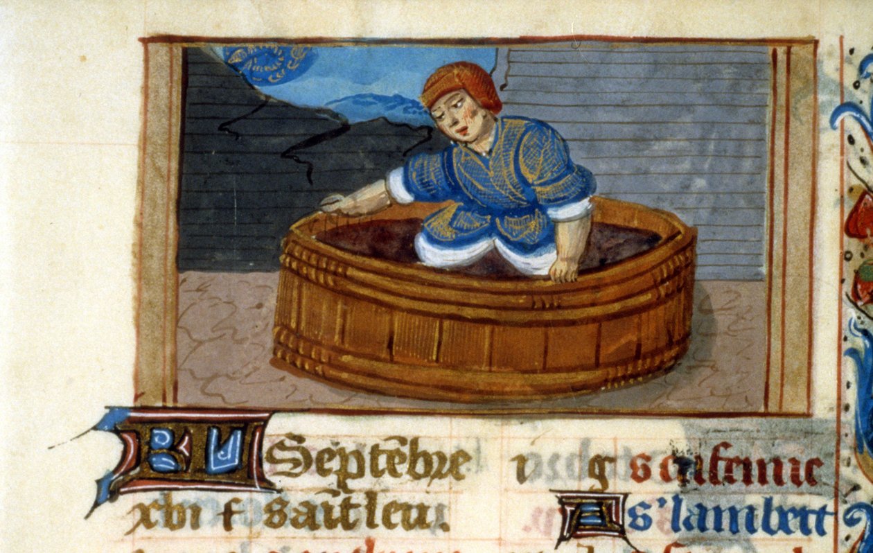 Zodiákus Skorpió alkotó: Unknown artist