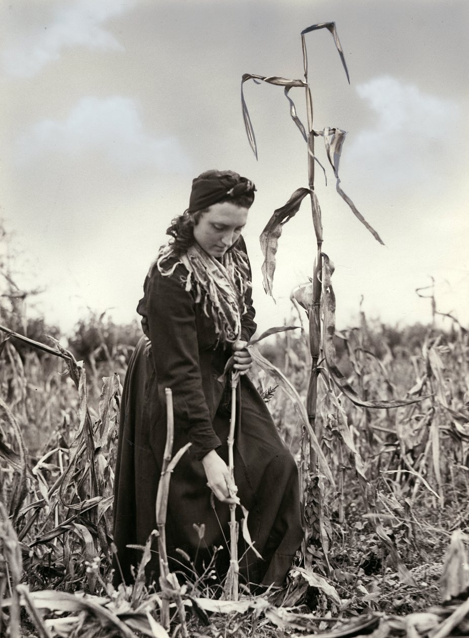 Friulian extrudált alkotó: Unknown photographer