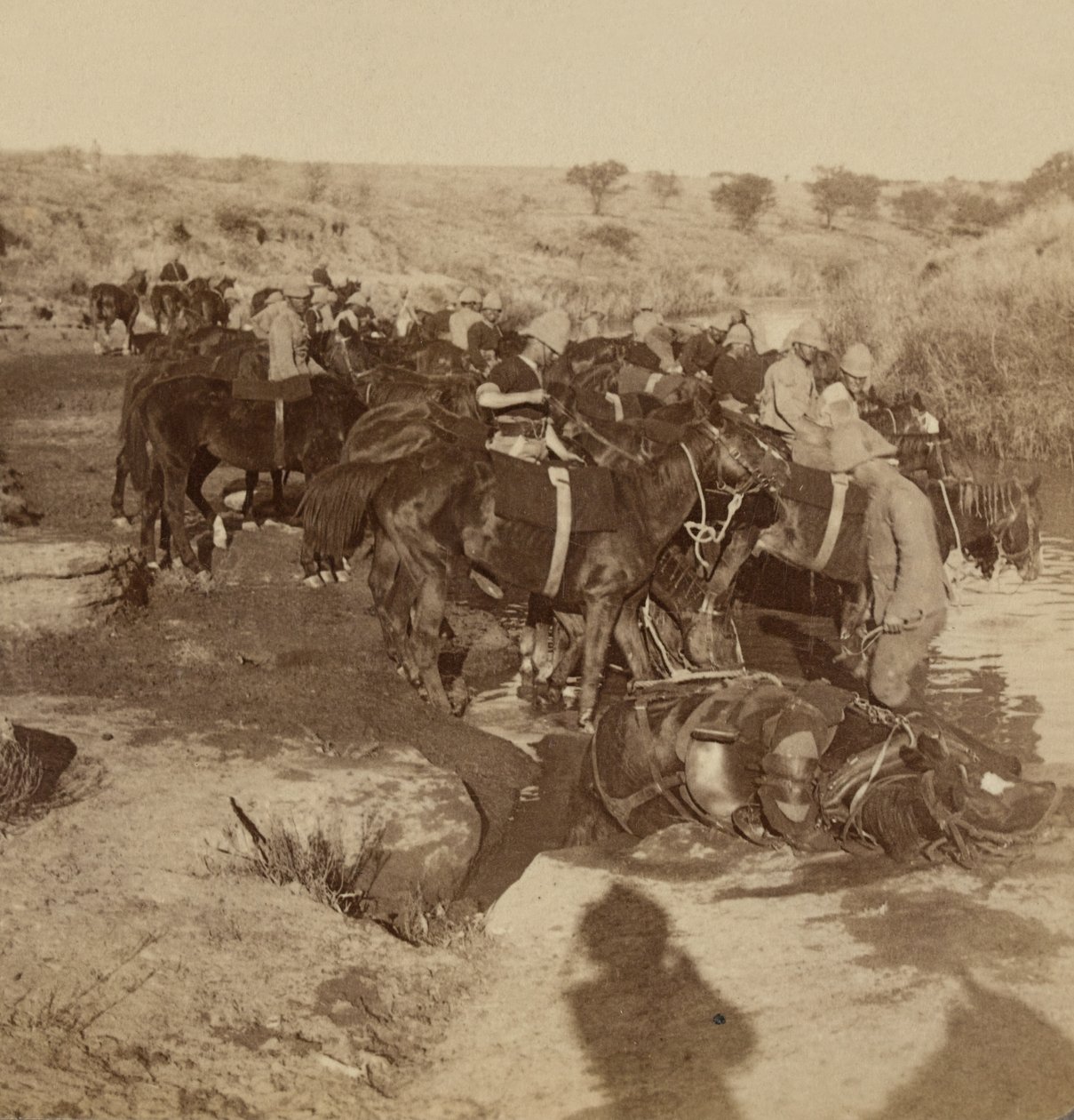 Tüzérségi lovak itatása, Welgelegen, Dél-Afrika alkotó: Unknown photographer