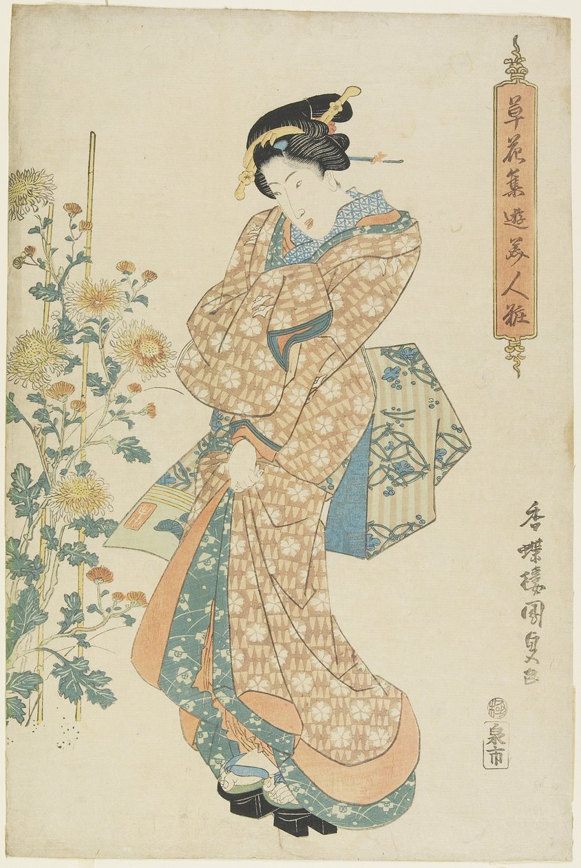 Krizantém, 1830-1844 alkotó: Utagawa Kunisada