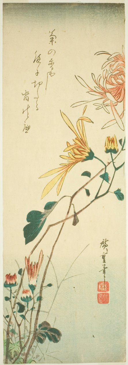 Krizantém alkotó: Utagawa Hiroshige
