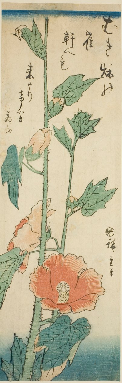 Hibiszkusz alkotó: Utagawa Hiroshige
