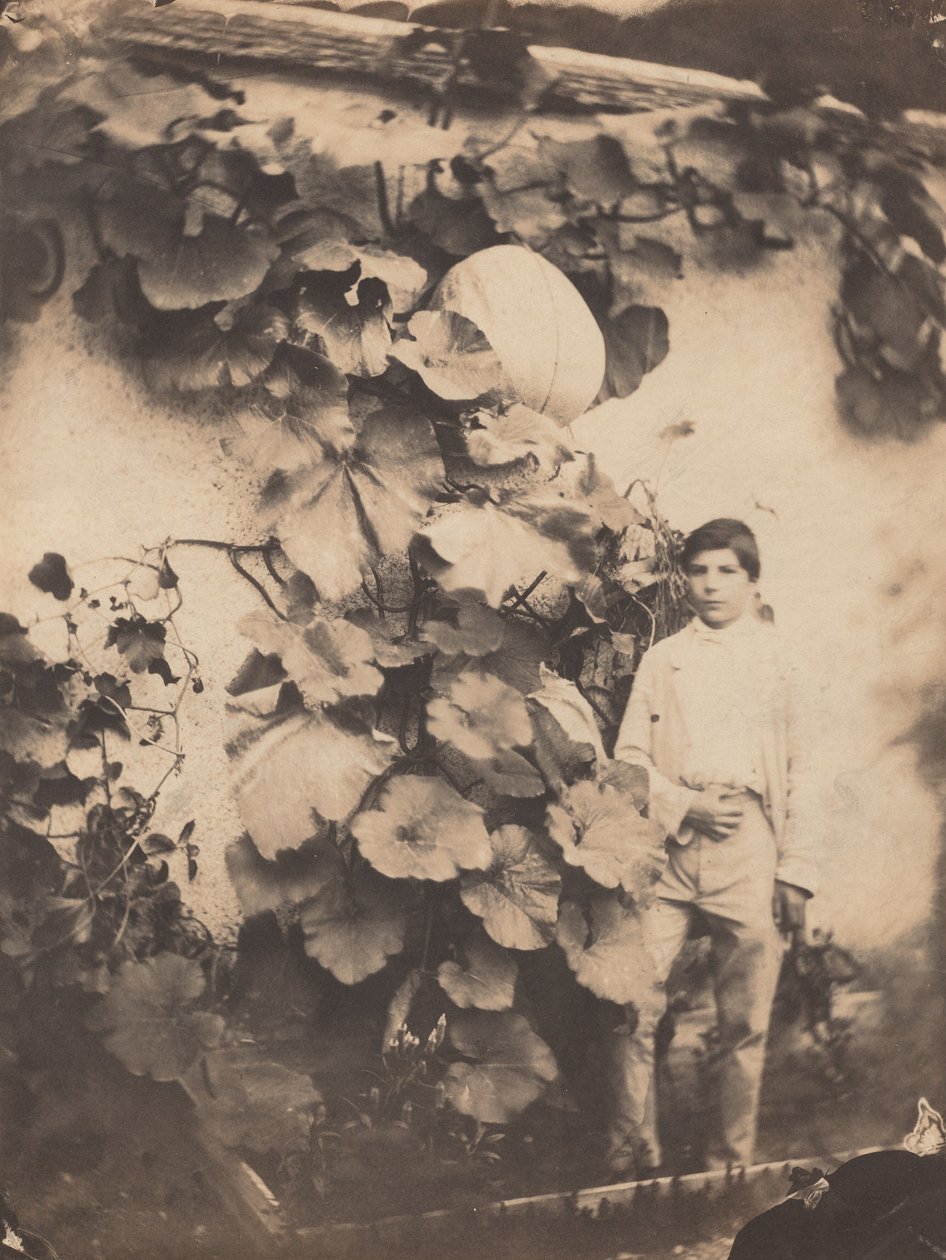 Tökszőlős fiú, 1854. alkotó: Varin Frères