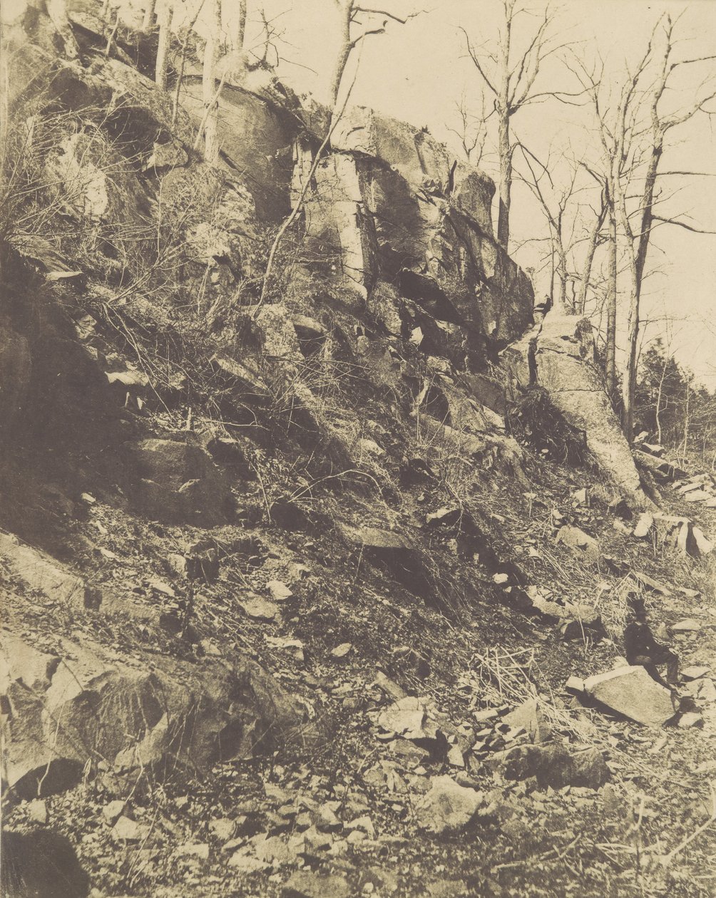 [Rocky Hillside], 1850-es évek. alkotó: Victor Prevost