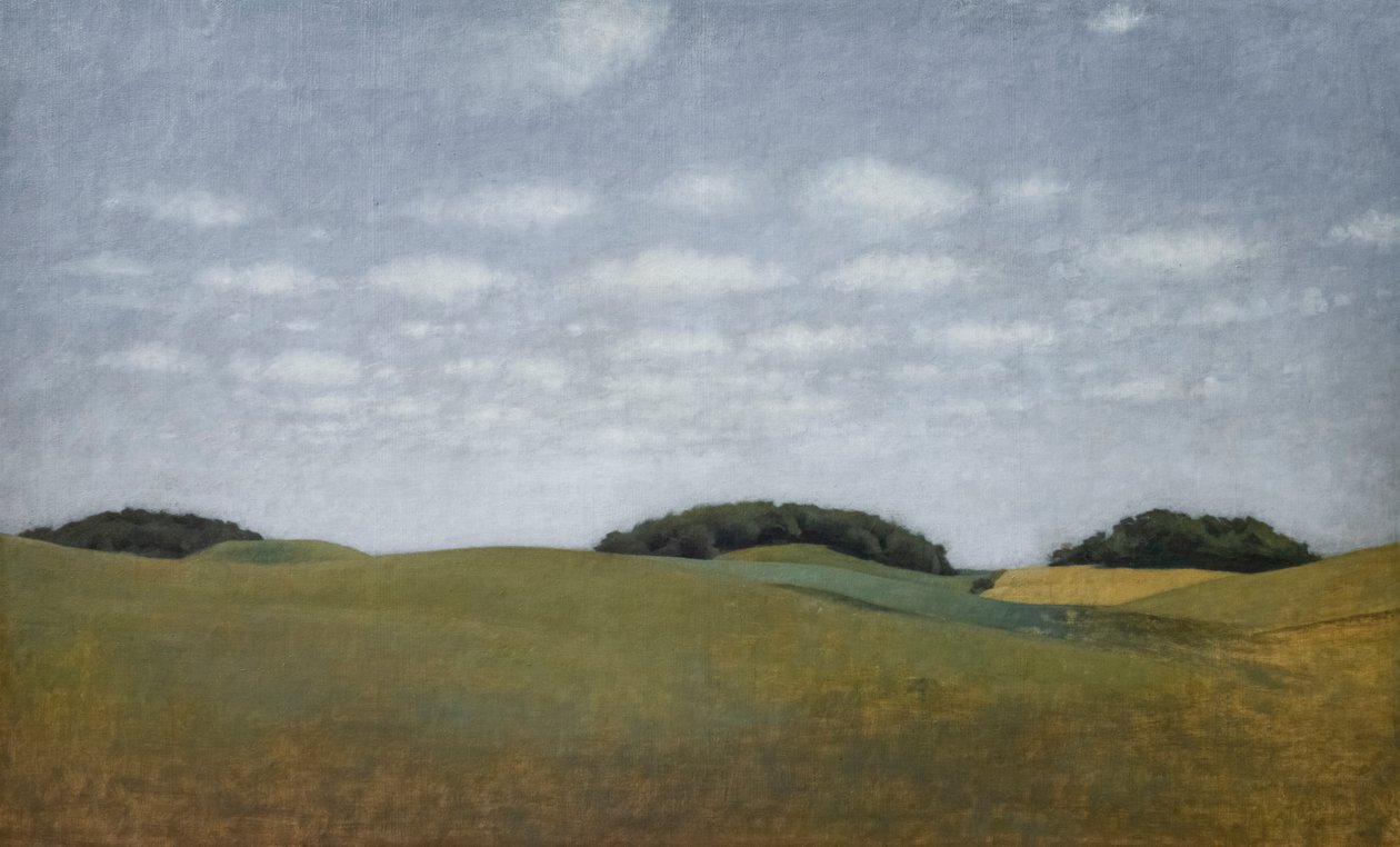 Táj és táborok alkotó: Vilhelm Hammershoi