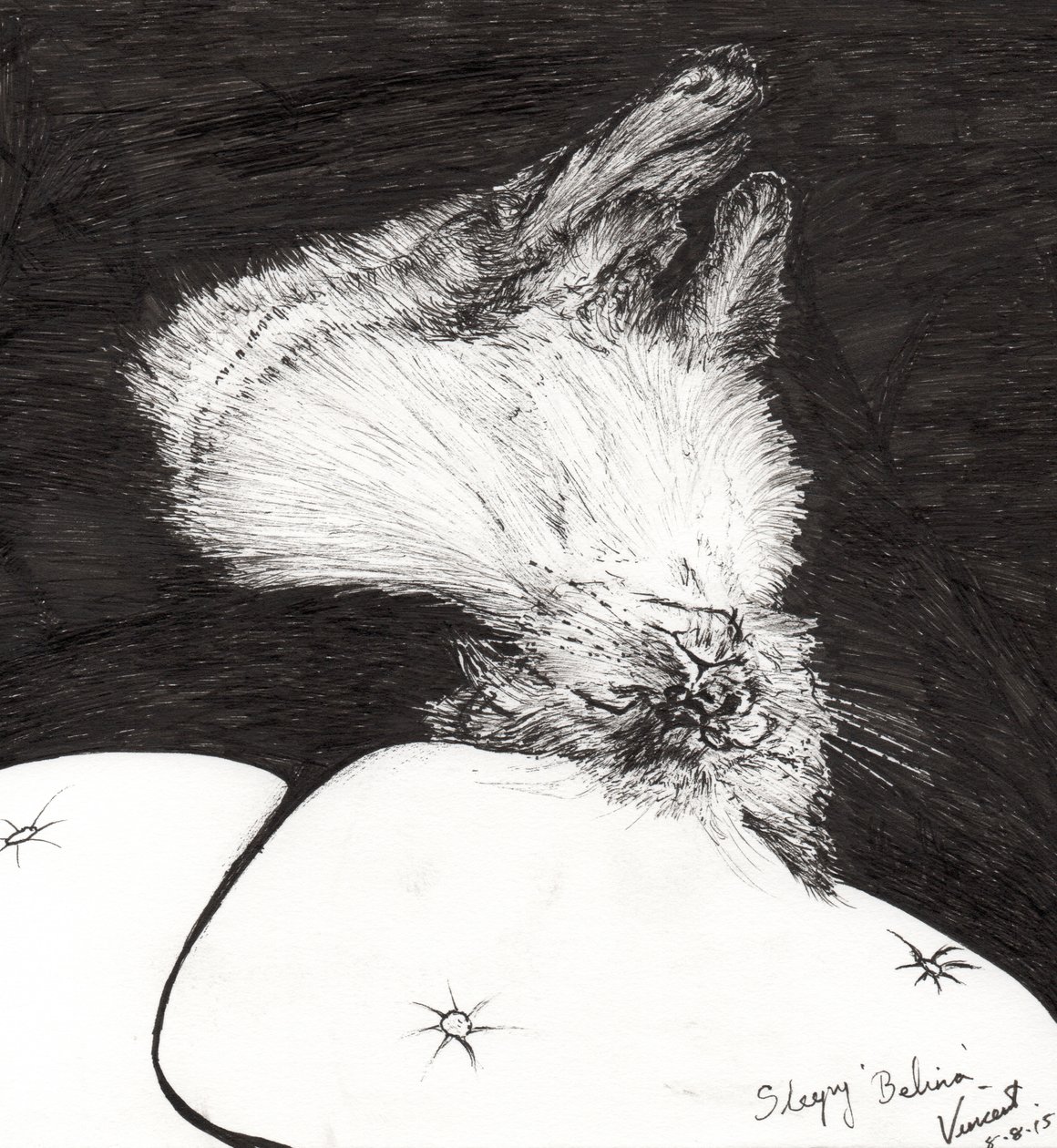 Álmos Belina, 2015, (tinta papíron) alkotó: Vincent Alexander Booth