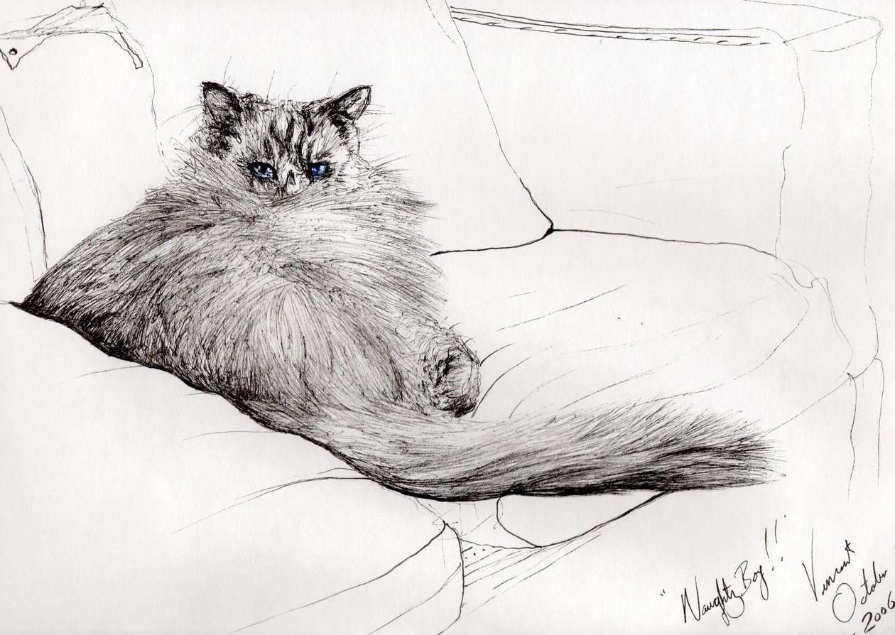 naughty boy!, 2006, (Tinta papíron) alkotó: Vincent Alexander Booth