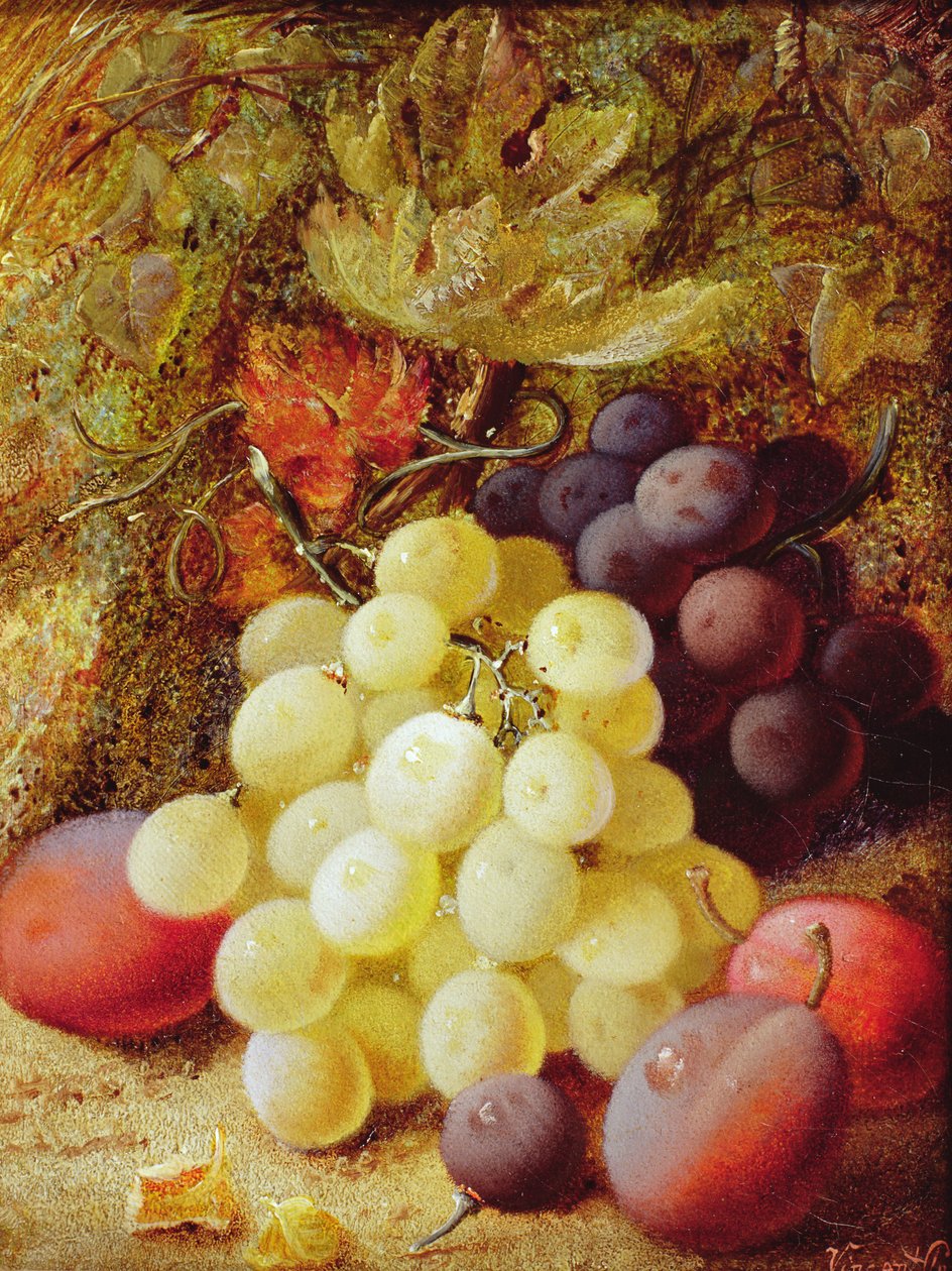 Szőlő és szilva alkotó: Vincent Clare