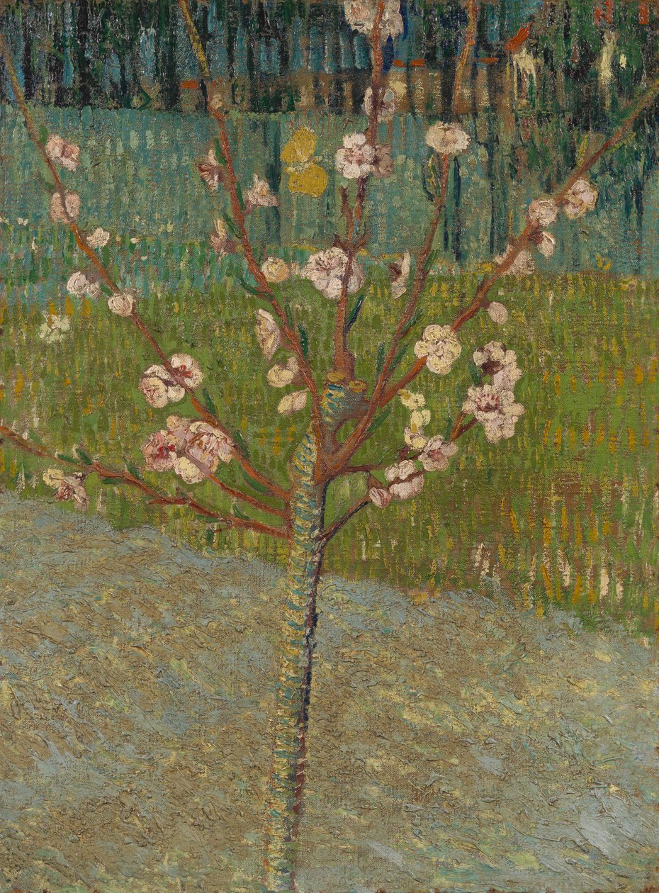 Mandulafa a virágban alkotó: Vincent van Gogh
