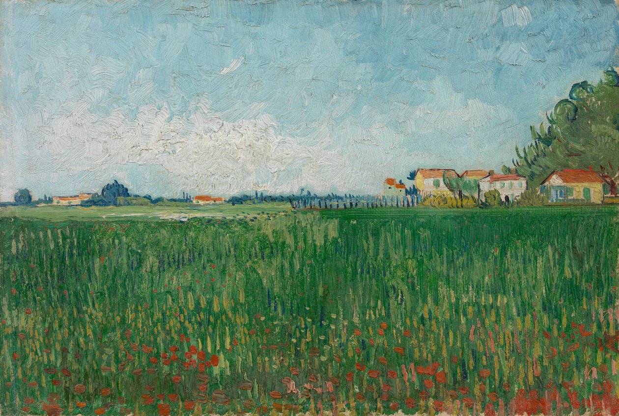 Mező pipacsokkal alkotó: Vincent van Gogh