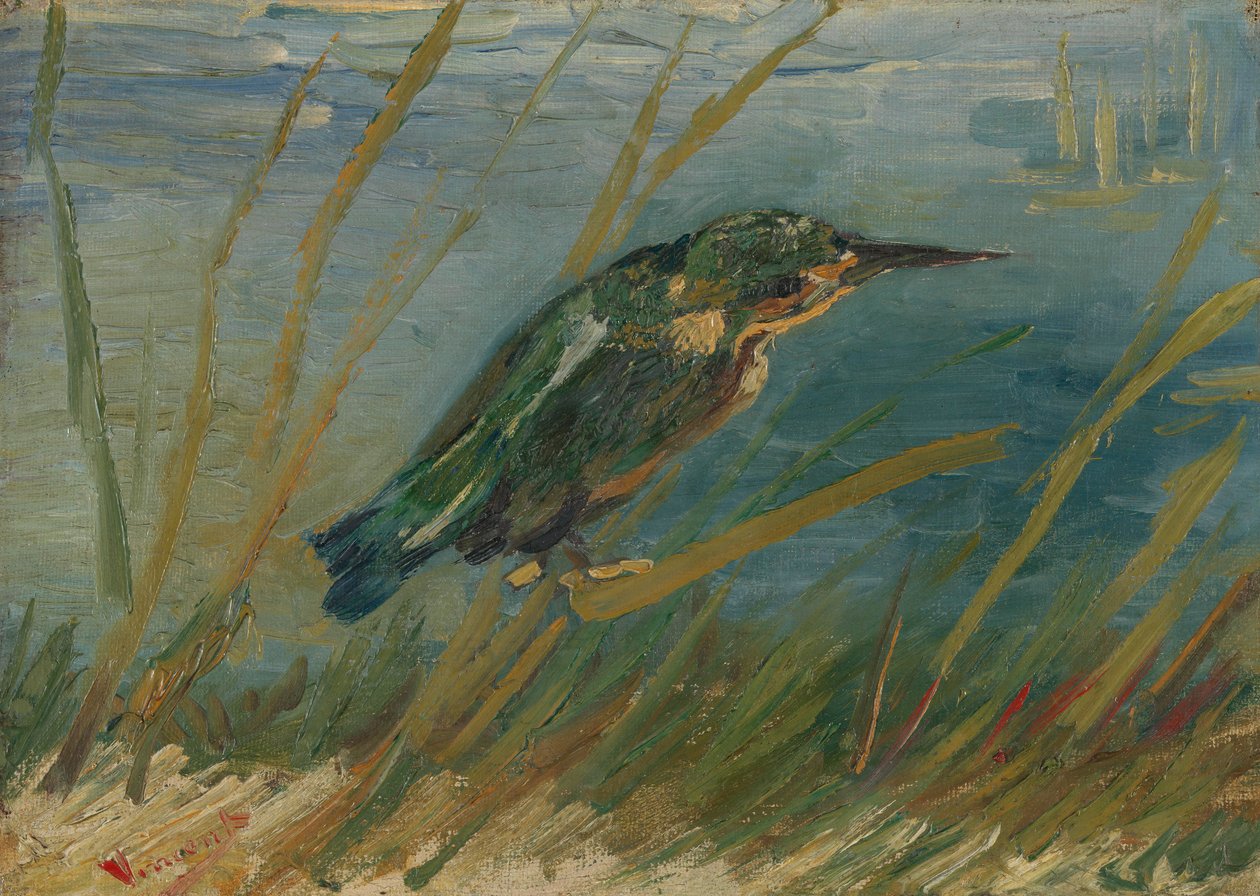 Királyhalász a vízparton alkotó: Vincent van Gogh