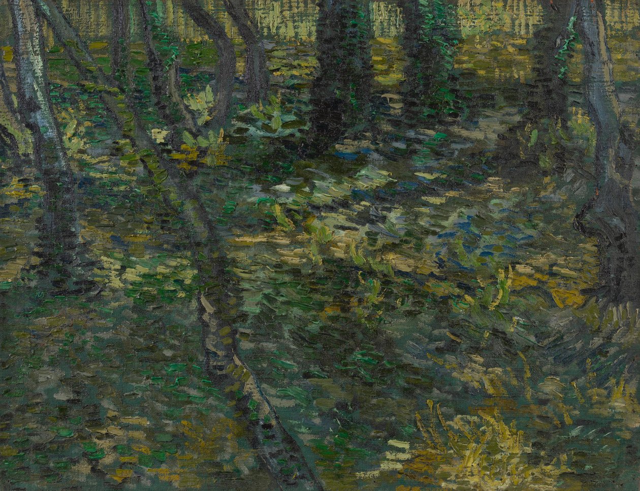 Aljnövényzet alkotó: Vincent van Gogh